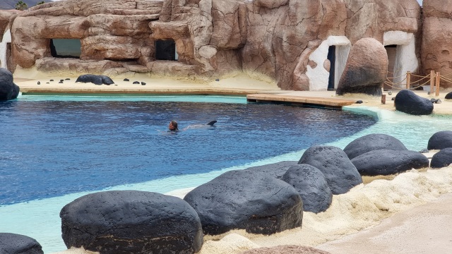 ../images/fotoalbum/lanzarote22/2022-06-24 11.39.29